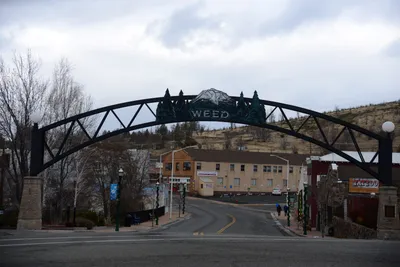 DSC_2918 (Large).JPG